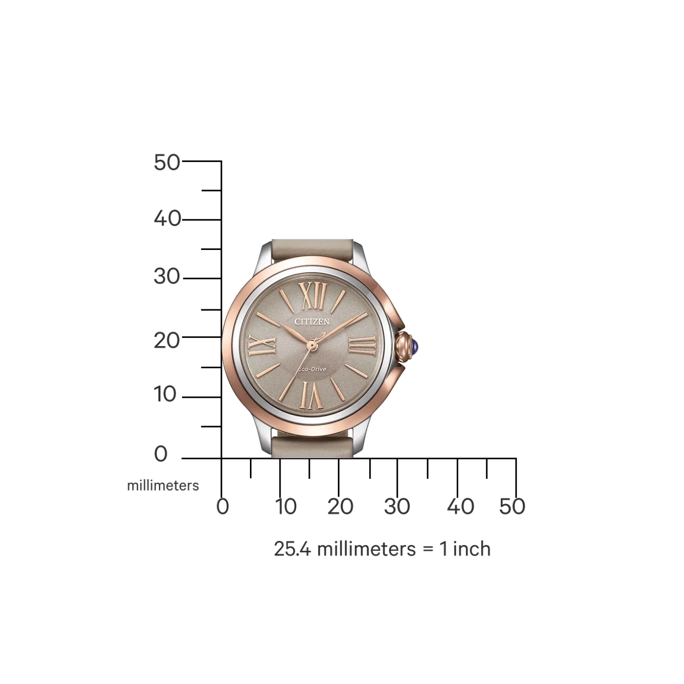 EM1166-01Z Citizen L Damen Ecopet® Synthetisches Material | grau | ø 30mm
