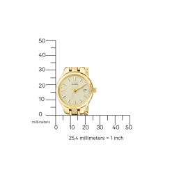 EW1262-55P               Damen Edelstahl | champagner | ø 25mm