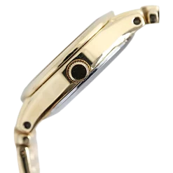 EW1262-55P               Damen Edelstahl | champagner | ø 25mm