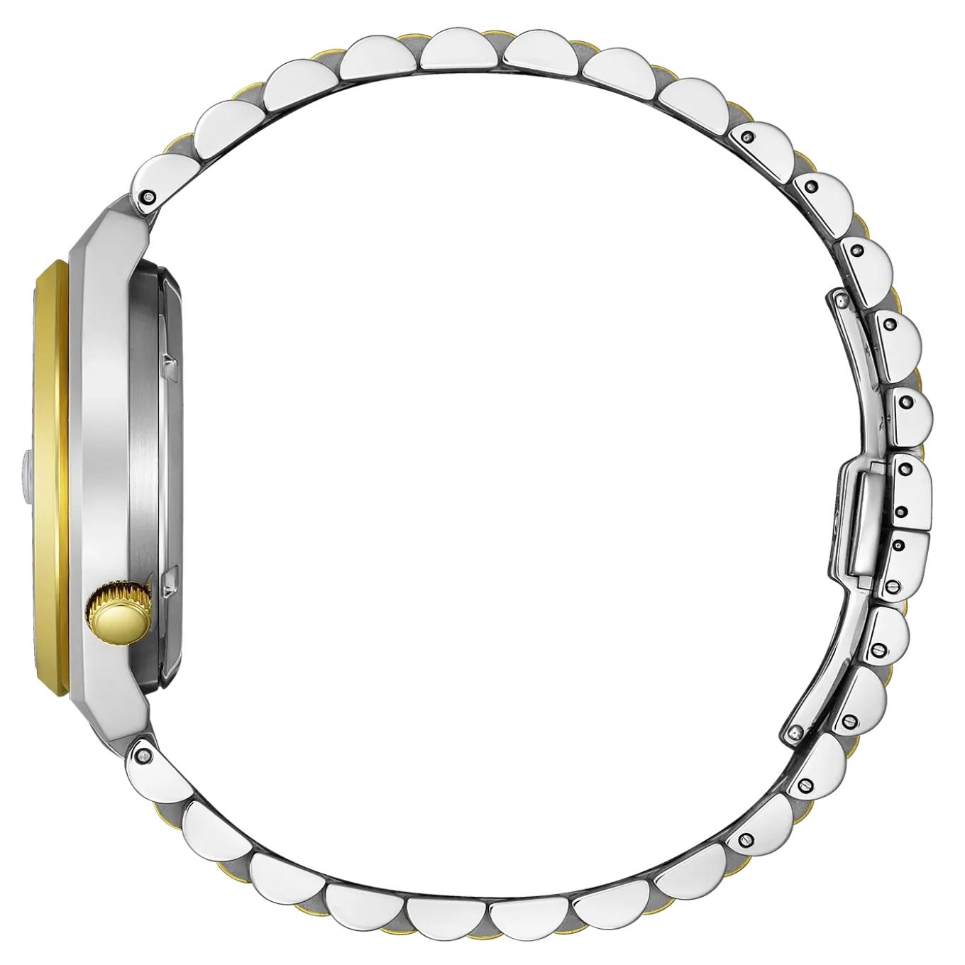 NK0024-54X Herren Edelstahl | grün